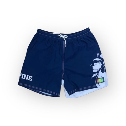 UC IRVINE V3