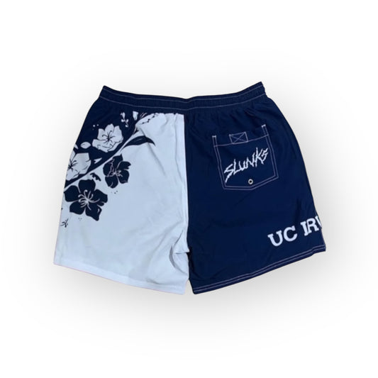 UC IRVINE V3